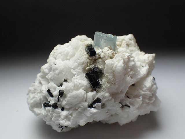 �A�N�A�}�������p�L�X�^����